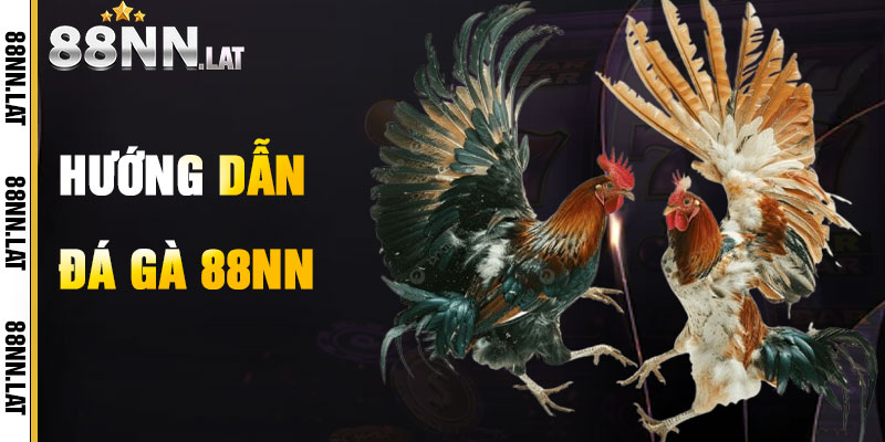 Đá Gà 88NN – Đấu Trường Cựa Sắt Rực Cháy Đam Mê - Jizako