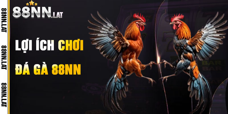 Đá Gà 88NN – Đấu Trường Cựa Sắt Rực Cháy Đam Mê - Jizako